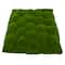 Patchy Moss Mat by Ashland&#xAE;